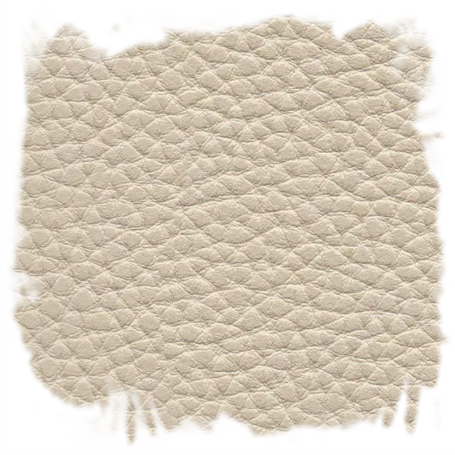 Tolex Areia
