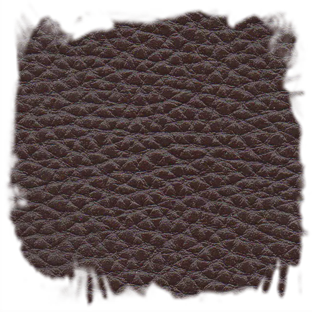 Tolex Café