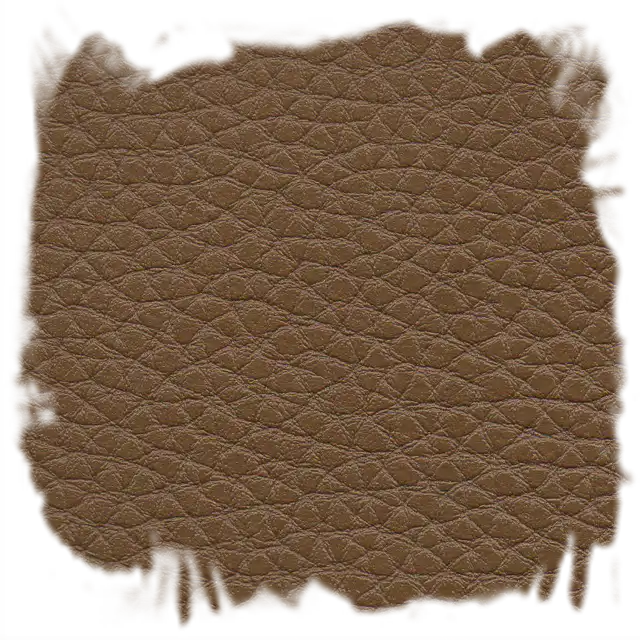 Tolex Gengibre